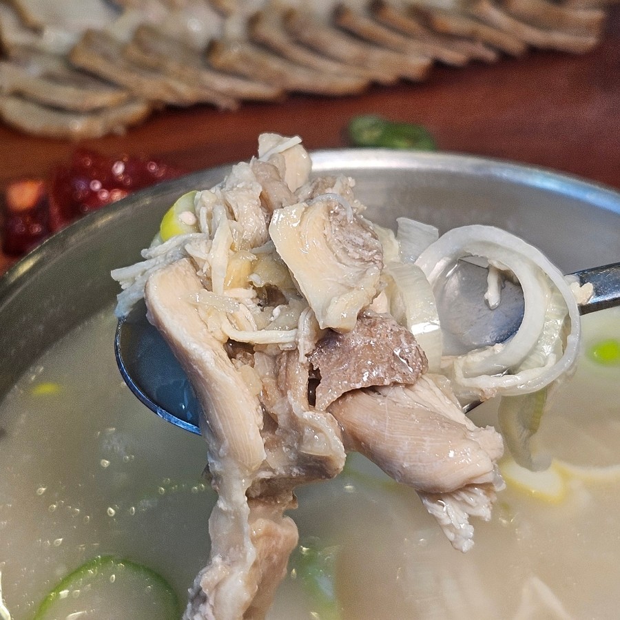 [쇼츠/송파/맛집] 한OO칼국수 본점